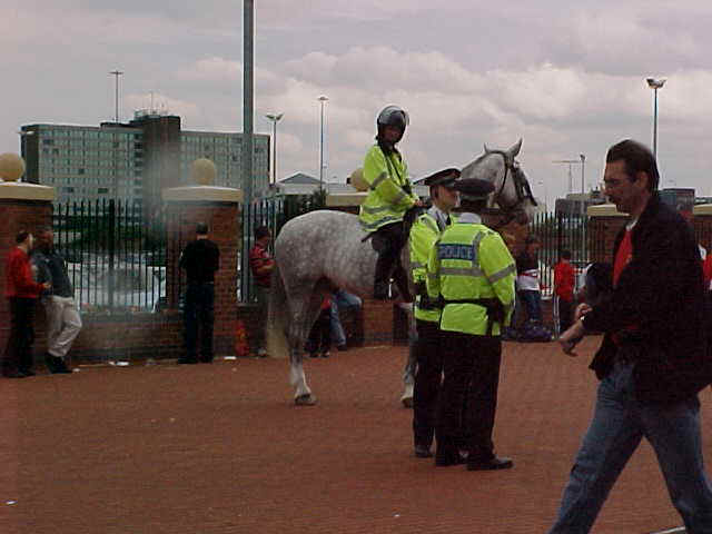 wpe28.jpg (29676 bytes)