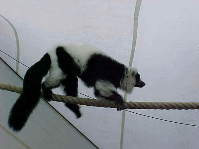 wpe40.jpg (19928 bytes)