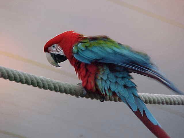 wpe3F.jpg (20537 bytes)