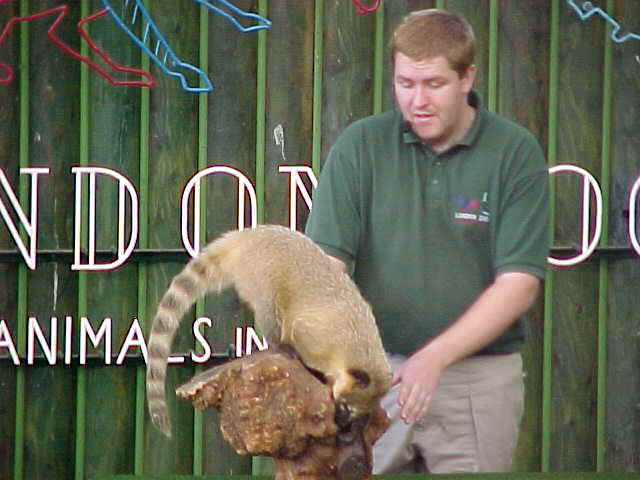 wpe3E.jpg (39301 bytes)