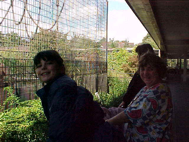 wpe3D.jpg (55040 bytes)