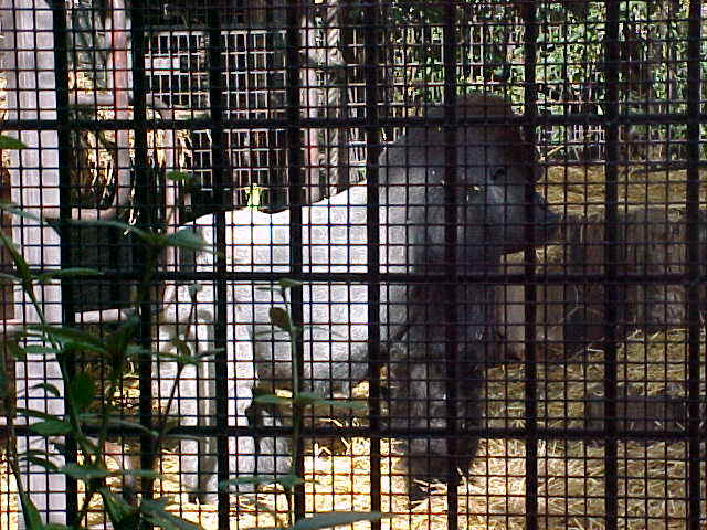 wpe3C.jpg (71734 bytes)