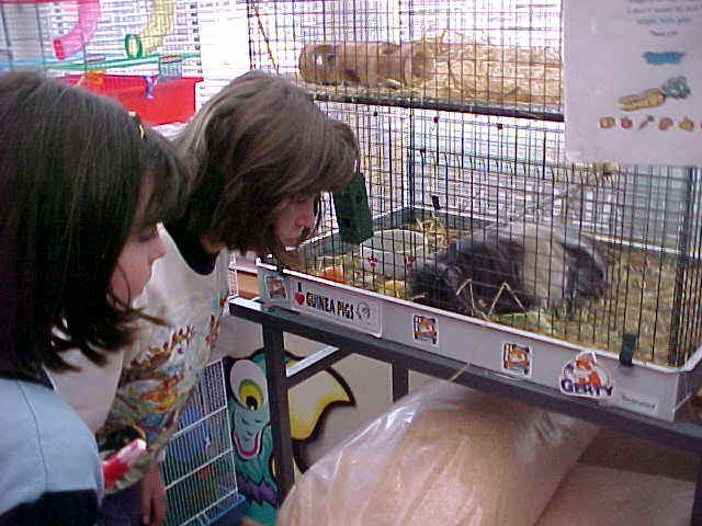 wpe3B.jpg (48908 bytes)