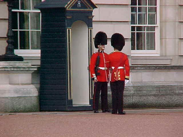 wpe44.jpg (33857 bytes)