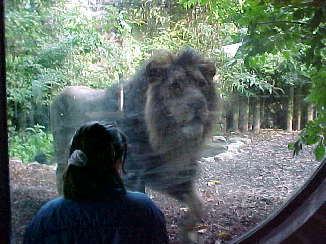 wpe41.jpg (50540 bytes)