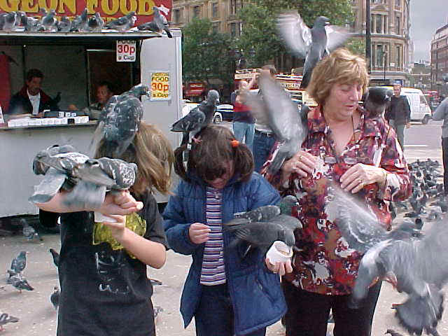 wpe49.jpg (52544 bytes)