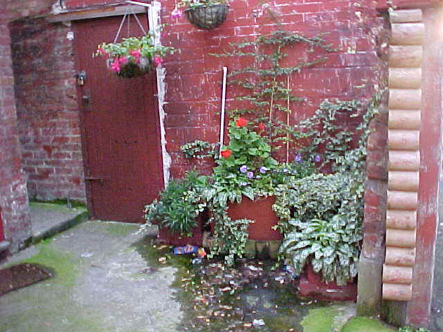 wpe4B.jpg (53614 bytes)