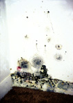 mold on a wall